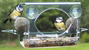 General Birdfeeders